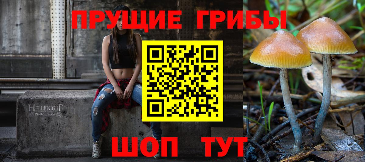 Псилоцибиновые грибы ЛСД Югорск